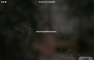 Photolemur screenshot 1