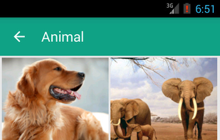 HD Image screenshot 1