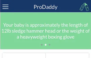 ProDaddy screenshot 1