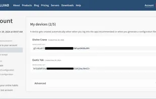 Mullvad screenshot 1