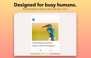 Fresh Cards - Flashcards screenshot 1