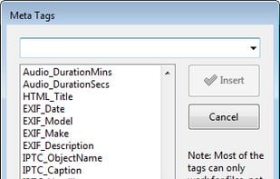 Insert meta tags