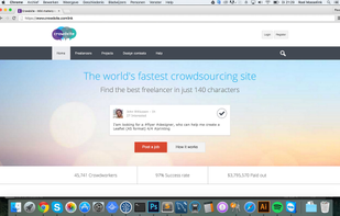Crowdsite screenshot 1