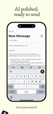 Wispr Flow screenshot 2