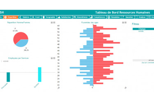 DigDash Enterprise screenshot 1