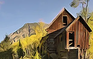 ToonCamera screenshot 2