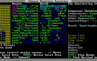 Dwarf Fortress screenshot 1
