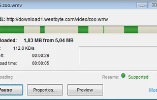 File downloading information window