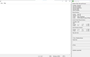 The window spy that you can use to get the proper window title to use as the wallpapers.