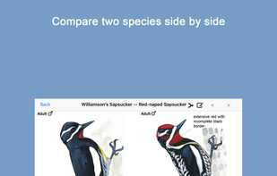 Sibley Birds 2nd Edition screenshot 1