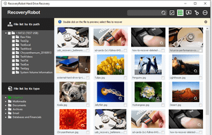 RecoveryRobot Hard Drive Recovery - Thumbnail View