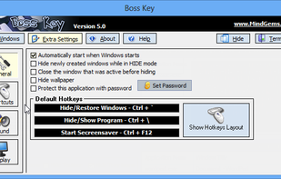 Anti Boss Key screenshot 1