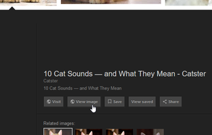 Google Search "View Image" Button screenshot 1
