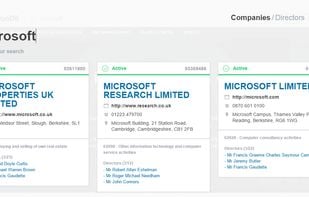 DueDil screenshot 1