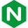nginx icon