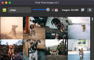 Multiple languages supported out of the box