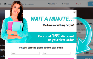 My-Custom-Essays screenshot 1