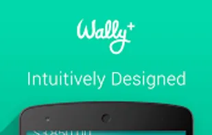Wally-Smart Personal Finance screenshot 2
