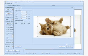 RonyaSoft Poster Printer screenshot 3