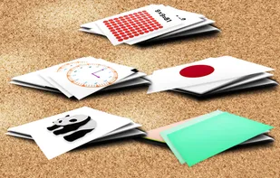 Flash Card screenshot 1