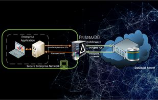 Prisma/DB screenshot 1