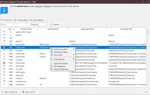Process List Tab - Main Window