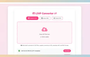LIVP Converter screenshot 1