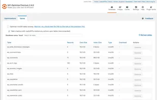 WP-Optimize screenshot 3