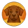 BacklinkDog icon
