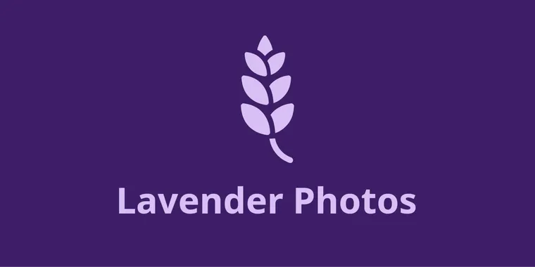 Introducing Lavender Photos v1.0.0: new interface, video editor & AVIF support