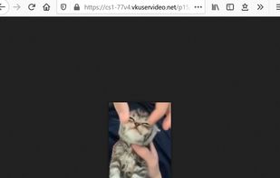 video file playing