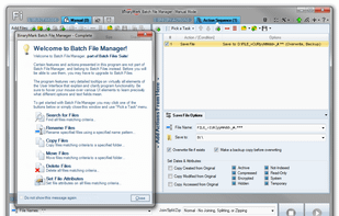 Batch File Manager screenshot 1
