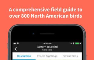 Audubon Bird Guide screenshot 1
