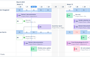 Teamhood screenshot 3