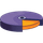 FusionCharts Suite XT icon