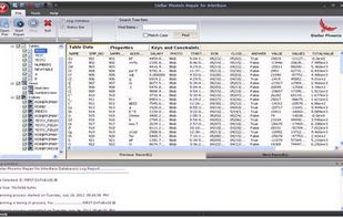 See the preview of your database
