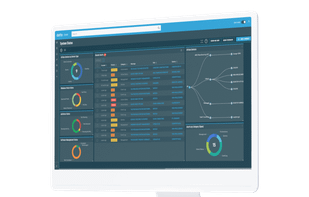 Datto RMM screenshot 1