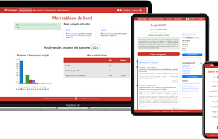 RDI-Manager screenshot 1