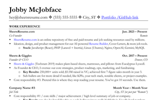 SheetsResume.com resume template format