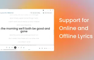 Supports Online and Offline Lyrics