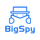 BigSpy icon