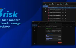 Brisk Download Manager screenshot 1