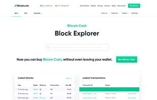 Bitcoin.com Explorer screenshot 1