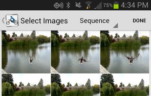 Pic Perfect screenshot 1