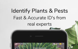 SmartPlant screenshot 1