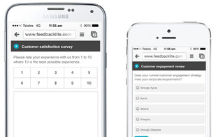 Feedback Lite screenshot 1