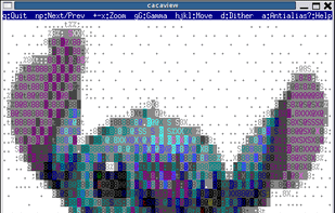 Libcaca screenshot 1