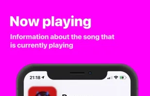 Song Infos screenshot 2