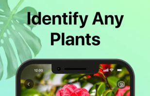 PictureThis screenshot 1