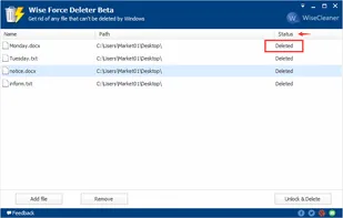 Wise Force Deleter screenshot 3